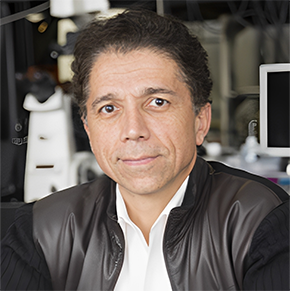 Bahram Jalali